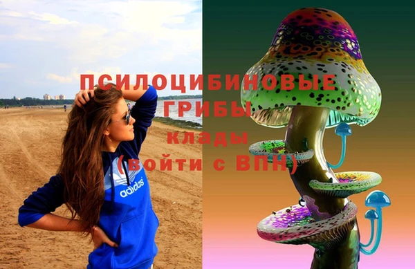 сатива Янаул