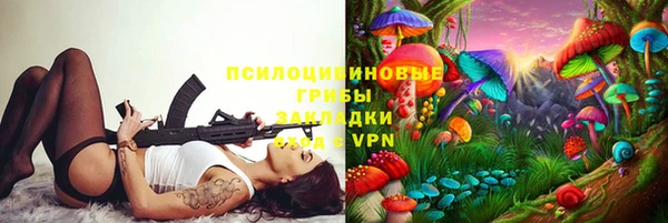 мдпв Вязники