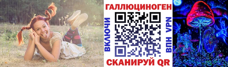 Галлюциногенные грибы Psilocybe  Купить где  Скопин 